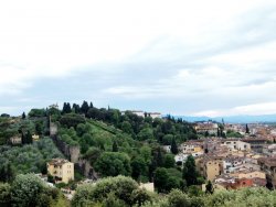 P5141795 (2).JPG P5141795 (2).JPG