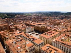 P5141901.JPG P5141901.JPG