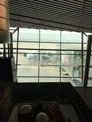 IMG_1935.JPEG IMG_1935.JPEG