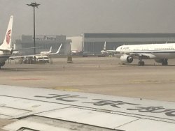 IMG_1939.JPEG IMG_1939.JPEG