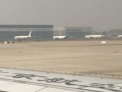 IMG_1942.JPEG IMG_1942.JPEG
