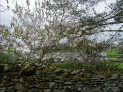 DSC02189.JPG DSC02189.JPG