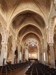 P5172100.JPG P5172100.JPG