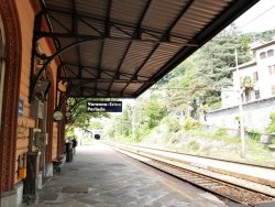 P5182208 (2).JPG P5182208 (2).JPG