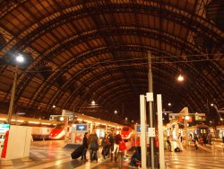 P5192213.JPG P5192213.JPG