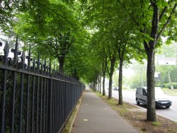 P5232453.JPG P5232453.JPG