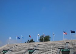 P5232464 (2).JPG P5232464 (2).JPG