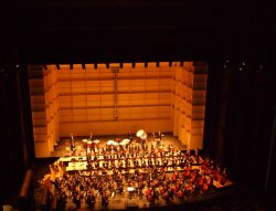 P5242483 (2).JPG P5242483 (2).JPG