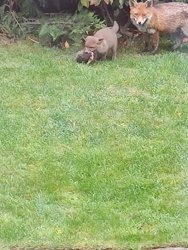 2020-04-29 10.36.23.jpg