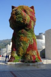 350AFC5E-0595-4F4C-8E02-261AD435447D.jpeg 350AFC5E-0595-4F4C-8E02-261AD435447D.jpeg