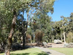 P1080840.jpg P1080840.jpg