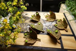 0D474F2C-2D0E-418B-B5EE-D60D3A5F7A4A.jpeg 0D474F2C-2D0E-418B-B5EE-D60D3A5F7A4A.jpeg