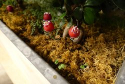 A1D96007-360D-4AB7-BEA8-32F65DC62196.jpeg A1D96007-360D-4AB7-BEA8-32F65DC62196.jpeg