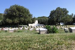 IMG_9788.JPG IMG_9788.JPG