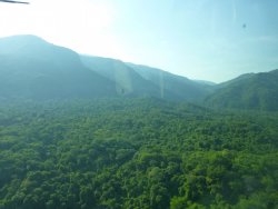 P1020530.JPG P1020530.JPG