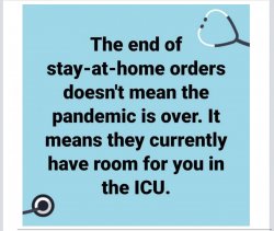 F3320E68-AA55-47C6-A86A-88BCD80A9187.jpeg F3320E68-AA55-47C6-A86A-88BCD80A9187.jpeg