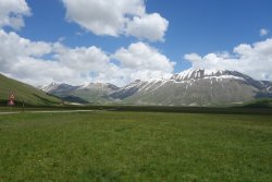 DSC08498.JPG DSC08498.JPG