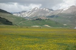 DSC08505.JPG DSC08505.JPG