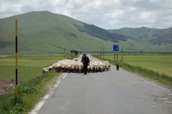 DSC08522.JPG DSC08522.JPG