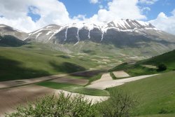 DSC08529.JPG DSC08529.JPG