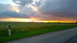 WP_20140716_21_42_36_Pro.jpg WP_20140716_21_42_36_Pro.jpg