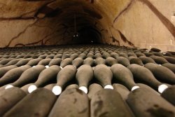 A61A6D99-6A89-4CB2-9BED-35BC978625A5.jpeg A61A6D99-6A89-4CB2-9BED-35BC978625A5.jpeg