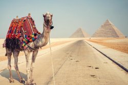 IMG_2359.JPG IMG_2359.JPG