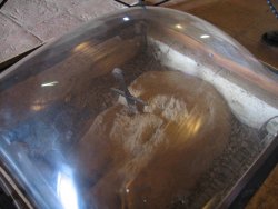 IMG_5741.JPG IMG_5741.JPG