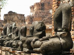 20090224 (46).jpg 20090224 (46).jpg