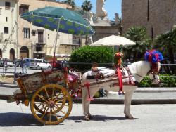 1588998048478.png 1588998048478.png