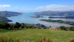 1589084477502.jpeg 1589084477502.jpeg