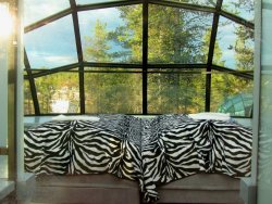 lap - 1 (2).jpeg lap - 1 (2).jpeg