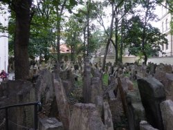 P1030708.jpg P1030708.jpg