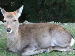 IMG_2199.jpeg IMG_2199.jpeg