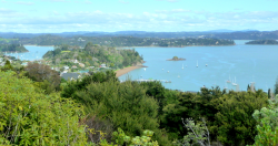 1589162498977.png 1589162498977.png