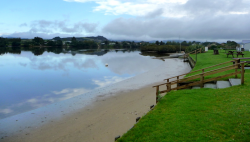 1589162530511.png 1589162530511.png