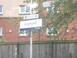 DSC01895 (1).JPG DSC01895 (1).JPG