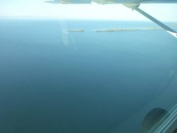 P1020787.JPG P1020787.JPG