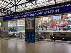 IMG_20200513_101759.jpg IMG_20200513_101759.jpg