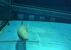 20110707 (11).JPG 20110707 (11).JPG