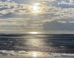 6F93A480-0DA6-4F9B-BDAB-DC3D93C25530.jpeg 6F93A480-0DA6-4F9B-BDAB-DC3D93C25530.jpeg