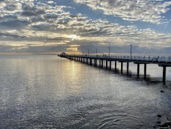 1491DBAC-448F-4357-8BD1-F1F1D83C0BC3.jpeg 1491DBAC-448F-4357-8BD1-F1F1D83C0BC3.jpeg