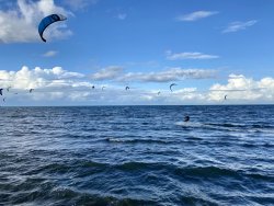 AD2A3588-243E-490B-9358-24B414EDC82F.jpeg AD2A3588-243E-490B-9358-24B414EDC82F.jpeg