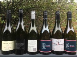 archie.jpg archie.jpg