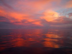 P4105366.JPG P4105366.JPG