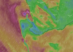 Screen Shot 2020-05-20 at 11.02.46 am.png Screen Shot 2020-05-20 at 11.02.46 am.png