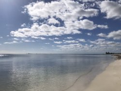 B8AEE90B-5E2F-4C7F-B801-A921F2D8FB36.jpeg B8AEE90B-5E2F-4C7F-B801-A921F2D8FB36.jpeg