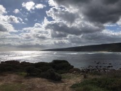 E183DC7D-B533-40D6-AFCC-071ED96150B4.jpeg E183DC7D-B533-40D6-AFCC-071ED96150B4.jpeg