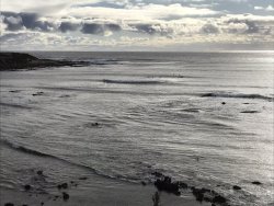 3807EEF2-C1E8-44A2-A821-83A8616E3F70.jpeg 3807EEF2-C1E8-44A2-A821-83A8616E3F70.jpeg