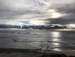 162A3D91-FEAD-4937-8CB3-53A0D0527B40.jpeg 162A3D91-FEAD-4937-8CB3-53A0D0527B40.jpeg